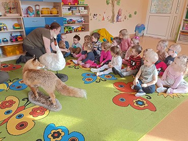 Pani leśnik pokazuje dzieciom sowę, obok stoi lis i łabędź. 