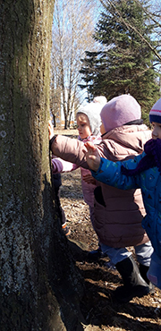 Zdjęcie przedstawia dzieci, które badają jaką strukturę ma kora drzewa.  