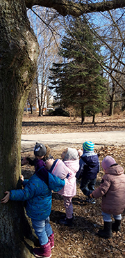 Zdjęcie przedstawia dzieci, które badają jaką strukturę ma kora drzewa.